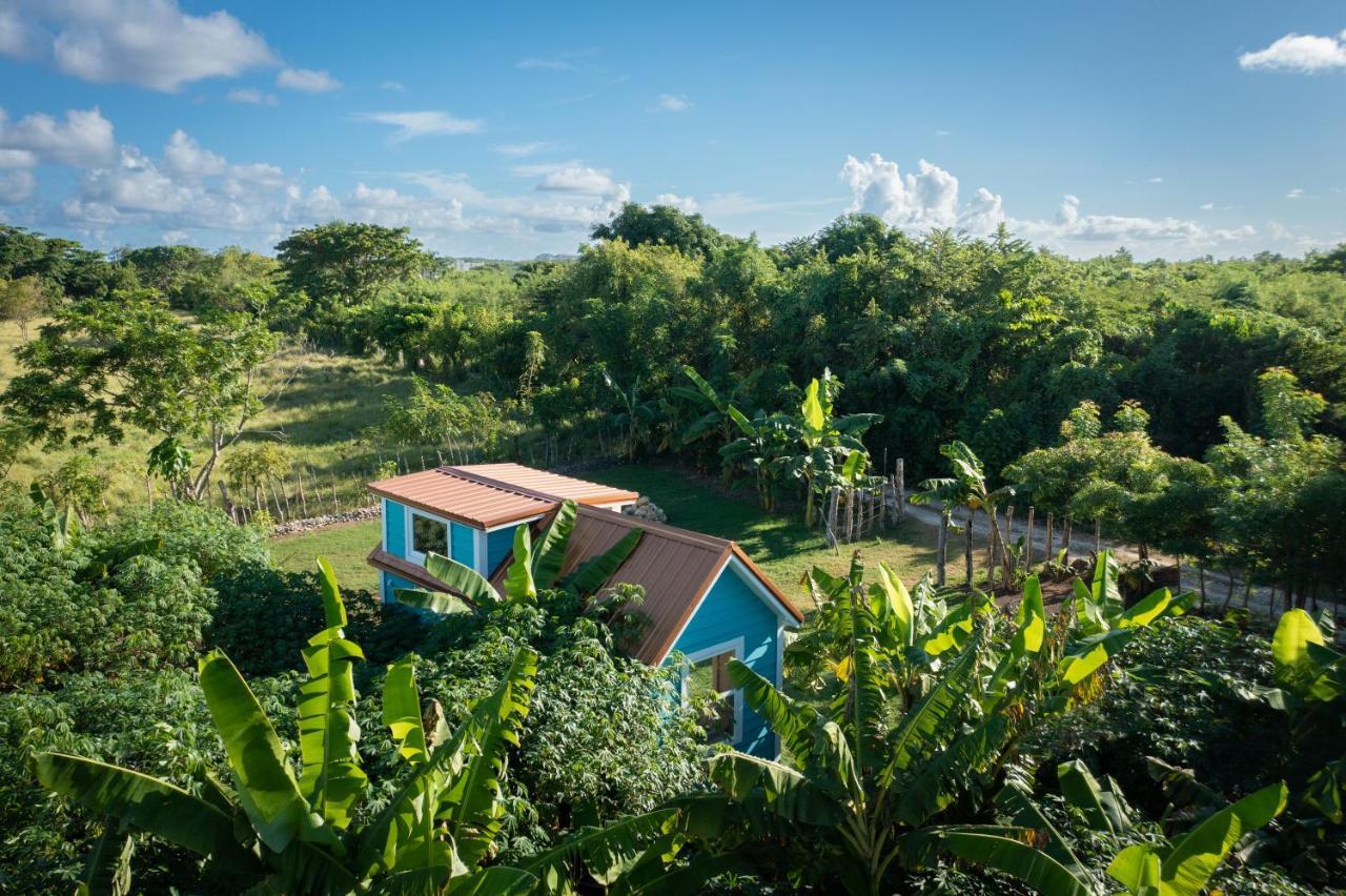 Сasa de vacaciones New!! Tropical Tiny Sanctuary-tiny Near